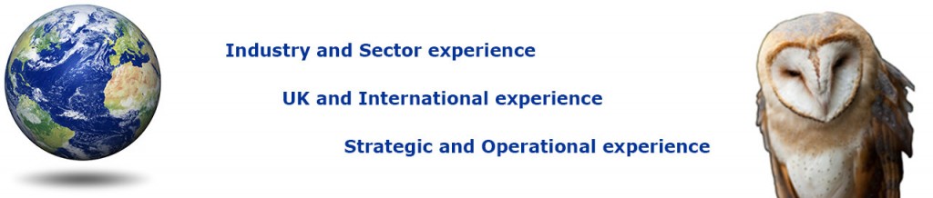 interim finance experience